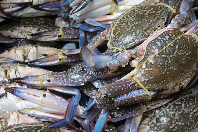 China emerges as largest buyer of Vietnamese crabs in Q1